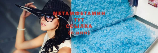шишки Белокуриха