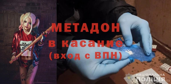 шишки Белокуриха