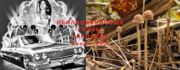гашик Беломорск