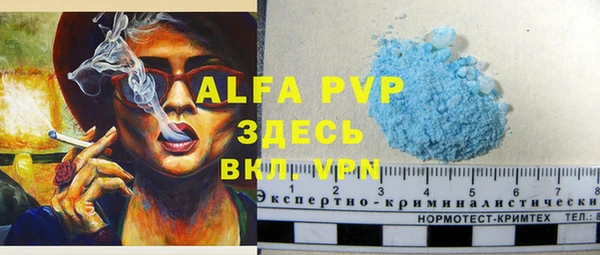 шишки Баксан