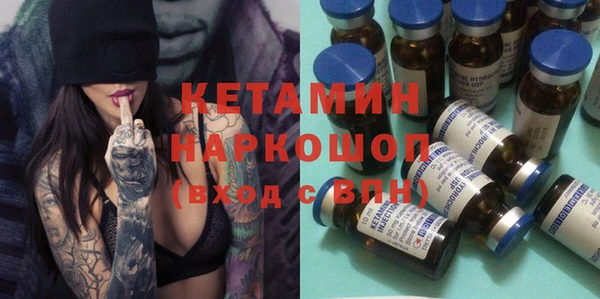 шишки Белокуриха