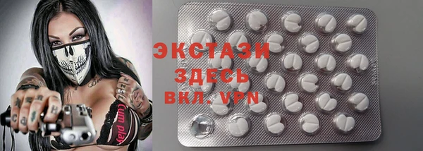 шишки Белокуриха