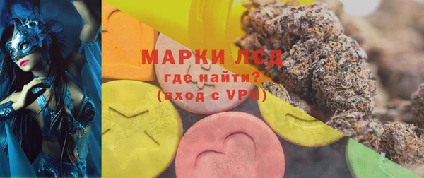 шишки Белокуриха