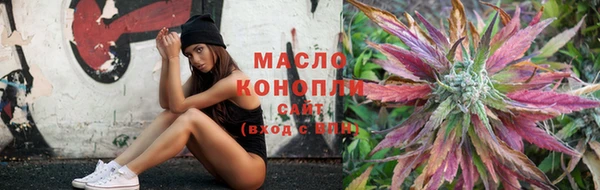 шишки Белокуриха