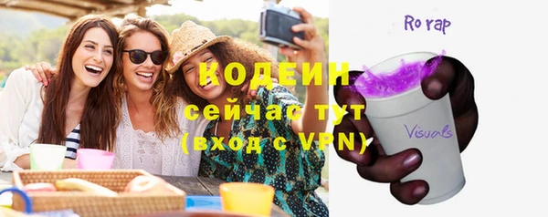 шишки Белокуриха