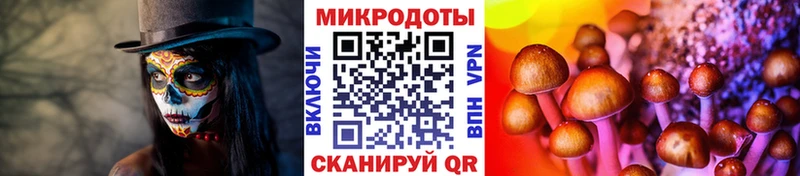 Галлюциногенные грибы мухоморы  omg ССЫЛКА  Солигалич 