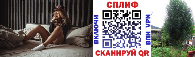 Бошки Шишки SATIVA & INDICA  мега ТОР  Солигалич 
